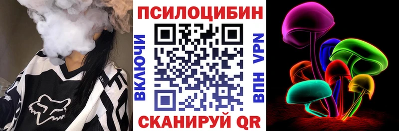 цена наркотик  Дубовка  Псилоцибиновые грибы Cubensis 